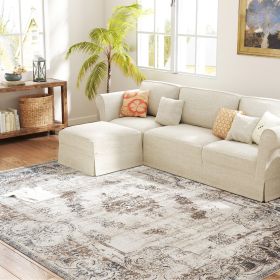 6x9 Boho Area Rug, Machine Washable Carpet for Living Room, Bedroom, Dining Room, Kitchen, Home Office, Brown